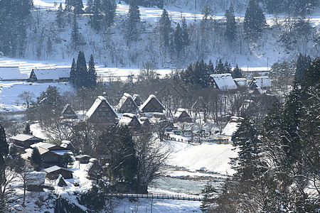 日本白川地村的景点建筑住宅村庄合掌历史建筑学白川松树农场地标图片