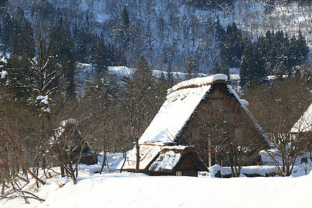 白雪背景白川去村小屋瀑布合掌农场地标建筑遗产白川村庄松树建筑学背景