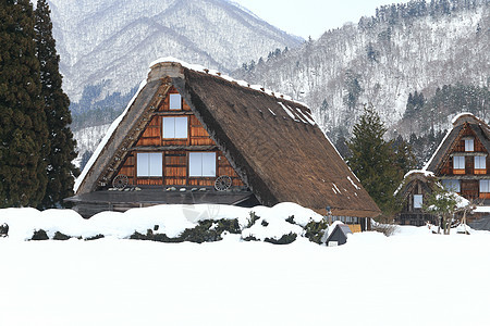 白川去村小屋瀑布世界遗产遗产地标房子村庄松树住宅历史运河图片