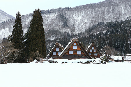 日本吉福白川戈历史小屋世界遗产白川建筑住宅松树地标瀑布建筑学图片