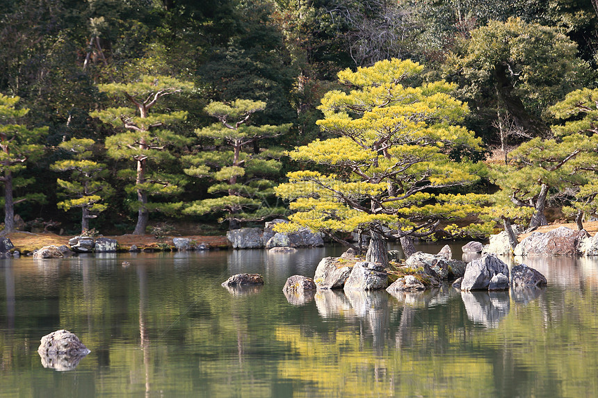 日本花园在著名的九角寺旅行公园寺庙矮人宗教花园松树文化观光旅游图片