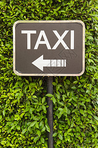 出租车牌号建筑运输汽车服务城市交通树叶旅行民众白色图片