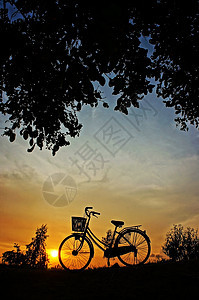 脚踏车轮影 日落的太阳图片