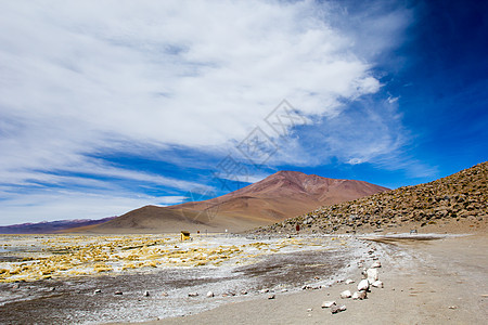 蓝色天空和白云之上的沙漠和山丘 玻利维亚阿尔提平洛植物气候火山旅行公园地形旅游风景高度高原图片