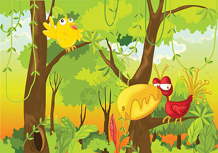 鸟类荒野树叶场景情调异国热带藤蔓丛林动物插图图片
