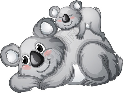 可爱的考拉科阿拉哺乳动物婴儿灰色考拉家庭动物异国愤怒母亲卡通片设计图片