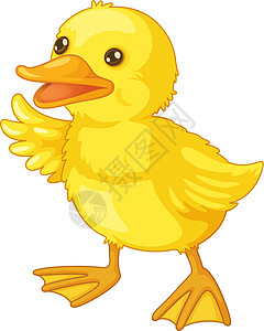 可爱的卡通德鸭子黄色婴儿插图账单蹼状动物艺术翅膀羽毛图片