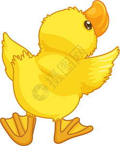 可爱的卡通德蹼状账单黄色艺术插图鸭子婴儿动物翅膀羽毛图片