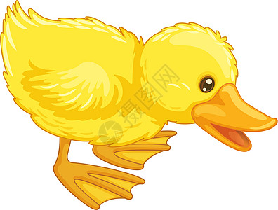 可爱的卡通德婴儿动物艺术账单羽毛黄色翅膀鸭子蹼状插图图片