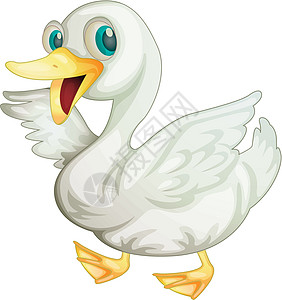 鸭子眼睛农场蹼状白色羽毛插图小鸭动物图片