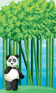 熊猫毛皮丘陵哺乳动物森林动物园蓝色濒危孩子们卡通片场地图片