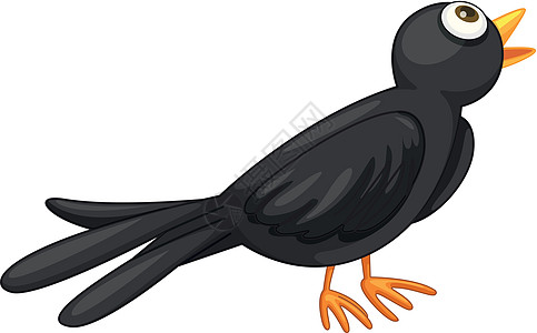 黑鸟卡通片动物羽毛雀科飞行香椿生物动画尾巴孩子们图片