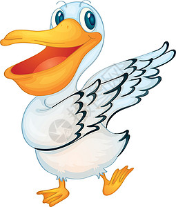 elican 等离子橙子动物鸟类羽毛翅膀卡通片白色蹼状吉祥物眼睛图片