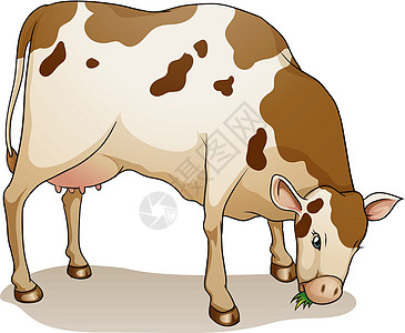 奶牛食物牛奶白色植物树叶动物棕色尾巴奶制品农场图片