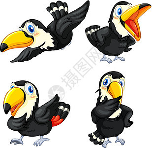大嘴鸟系列玩具翅膀思考生物动物群蓝色快乐插图艺术小路背景图片