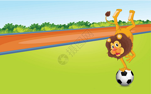狮子和球路线阳光植物蓝色足球场景灌木微笑竞技农村图片