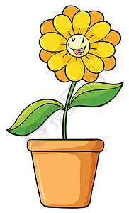 简单花朵绘画绿色生长白色插图树叶植物小路夹子黄色图片