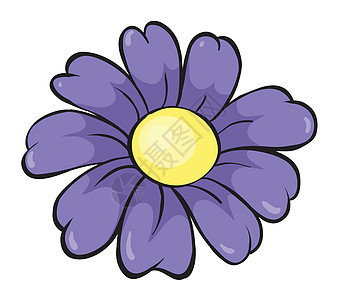 紫花朵阴影紫色庆典绘画植物黄色草图植物群花瓣雏菊图片