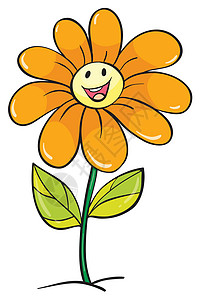 黄黄色花朵脆弱性绘画庆典花瓣阴影微笑树叶橙子植物萼片图片
