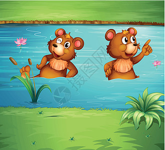 池塘里有两只动物图片
