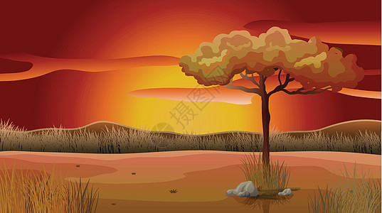 日落视图场地沙漠树叶死亡黄色太阳飞机绘画橙子环境背景图片