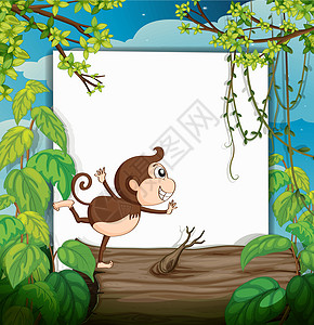 一只微笑的猴子和白板风景阴影动物哺乳动物场景野生动物广告森林婴儿灌木图片