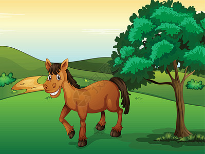 一匹微笑的马小路路线野生动物场景风景植物卡通片动物蓝色农场图片