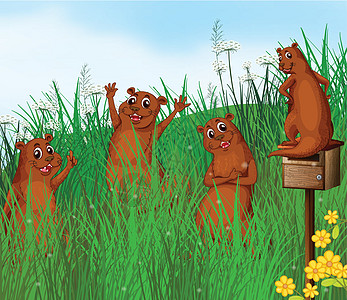 野生动物植物队友卡通片耳朵盒子荒野树叶风景朋友们草图图片