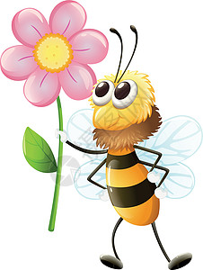 养花的蜜蜂天线植物绿色饥饿眼睛粉色绘画白色食物花蜜图片