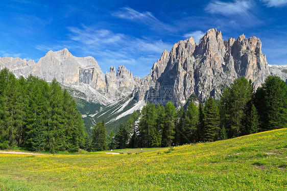多洛米特人卡蒂纳西奥山栀子花岩石高山自然天空绿色晴天旅行风景森林图片