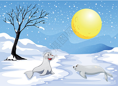 海狮在满月下玩雪的海狮图片