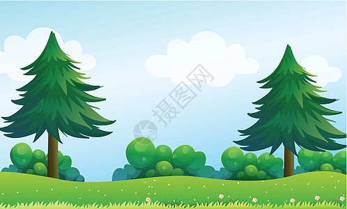山顶的松树绿色树叶绘画杂草天空风景资源山坡白色树木图片