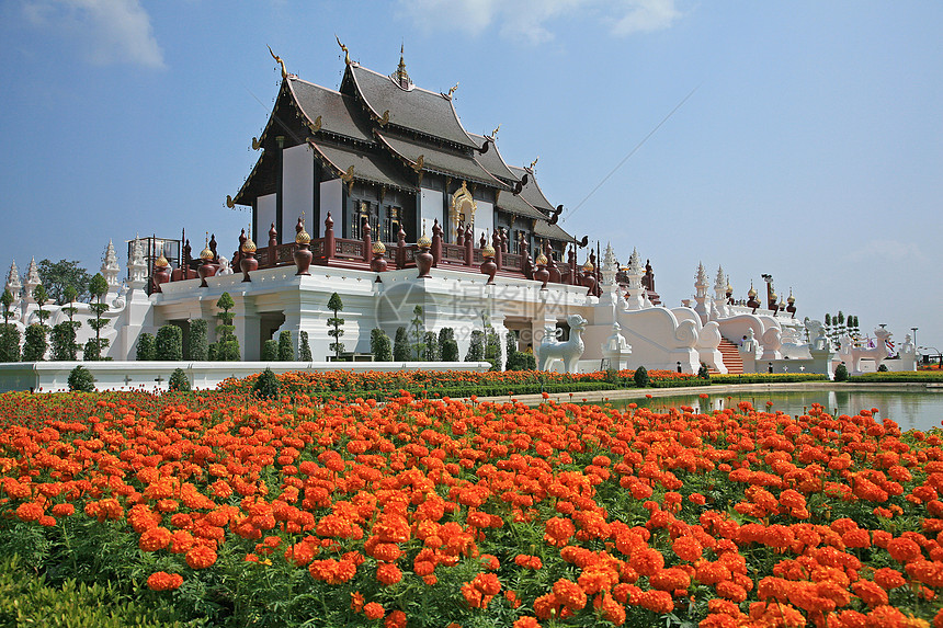 皇家馆 皇室花博览会 清迈 T历史纪念碑植物群花园旅游贵族奢华假期寺庙反射图片