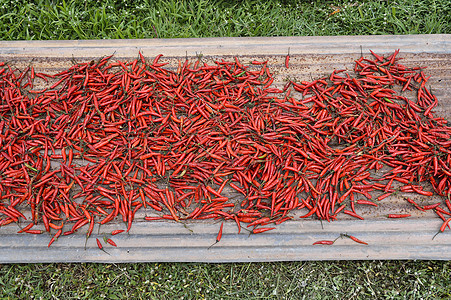 许多红辣椒在阳光下干燥 泰国宏观蔬菜寒冷美食草本植物水果盘子厨房食物油炸图片