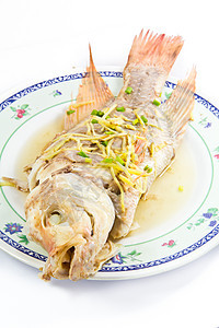 蒸鱼姜 在美丽的板盘上 与白色的背面隔绝鱼片蒸汽食物洋葱市场岩石盘子鲷鱼海鲜香料图片
