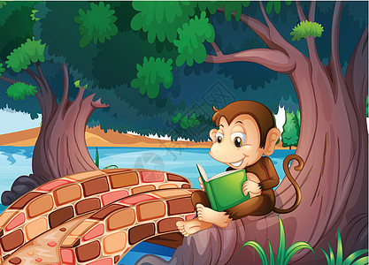 一只猴子在桥附近的大树下读一本书图片
