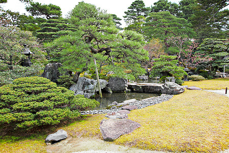 日本花园叶子花园热带岩石场景池塘蓝色文化公园石头图片