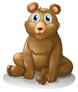 大棕熊鼻子棕色白色绘画卡通片胡须婴儿眼睛剪贴腹部图片
