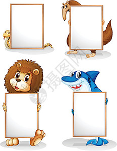 四只带空白板的动物菜单指示牌多边形袋鼠长方形海报国王绘画鲨鱼头发图片