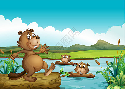 海狸在河里和树林一起玩图片