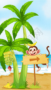 香蕉厂附近有一只猴子的海滩图片