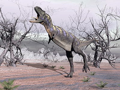 木龙恐龙  3D动物蜥蜴天空攻击古生物学石头沙漠凤头岩石捕食者图片