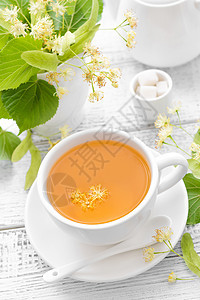 林肯茶杯子刺激树叶兴奋剂香气芳香午餐早餐椴树茶壶图片