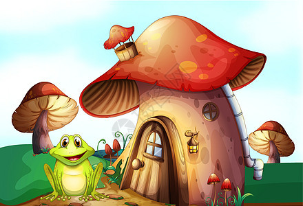 蘑菇屋附近的青青蛙图片