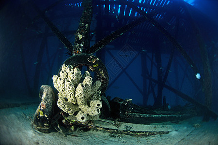 MabulSipad下潜中心附近的黄昏的海绵附加桥呼吸管马布扇子荒野潜水野生动物海洋珊瑚热带海扇图片