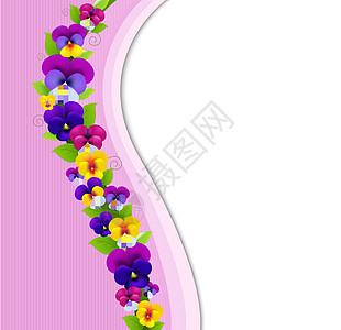 与 Pansies 的底部背景卡片季节海报生日紫色花瓣花艺树叶中提琴植物图片