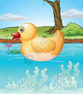 池塘中的黄玩具鸭图片