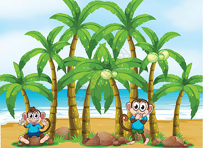 海滩 有高高的椰子树和嬉闹的猴子图片