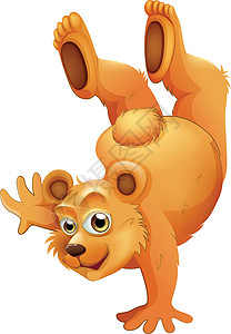 一只好玩的棕熊荒野鼻子耳朵平衡胡须动物卡通片生物绘画小熊图片