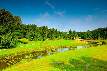 俄罗斯美丽的风景 阳光明媚的夏日图片